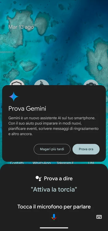 Google Gemini